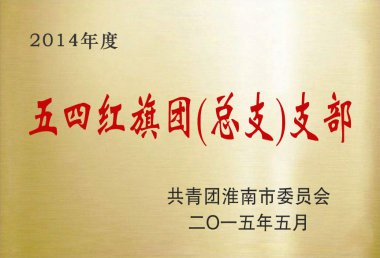 2014年度五四红旗团总支